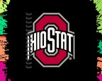 Ohio State Buckeyes Notebooks / Journals