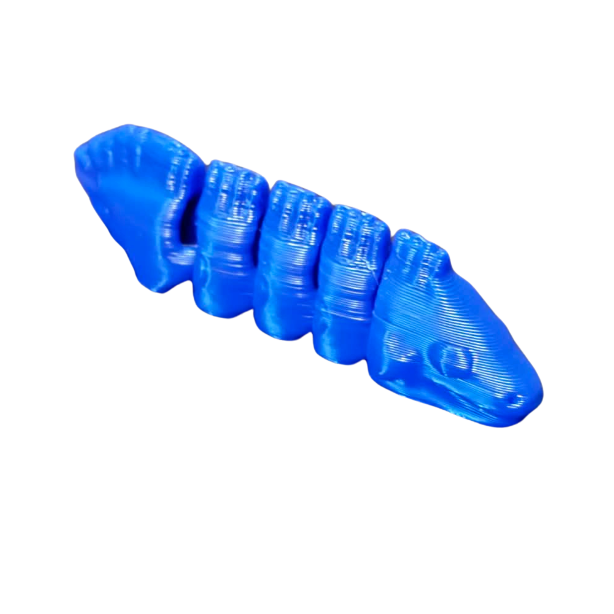 Eel micro Pocket Pet